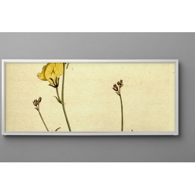 Watercolor Print