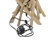 Boyett Solid Wood Floor Lamp with Linen Shade