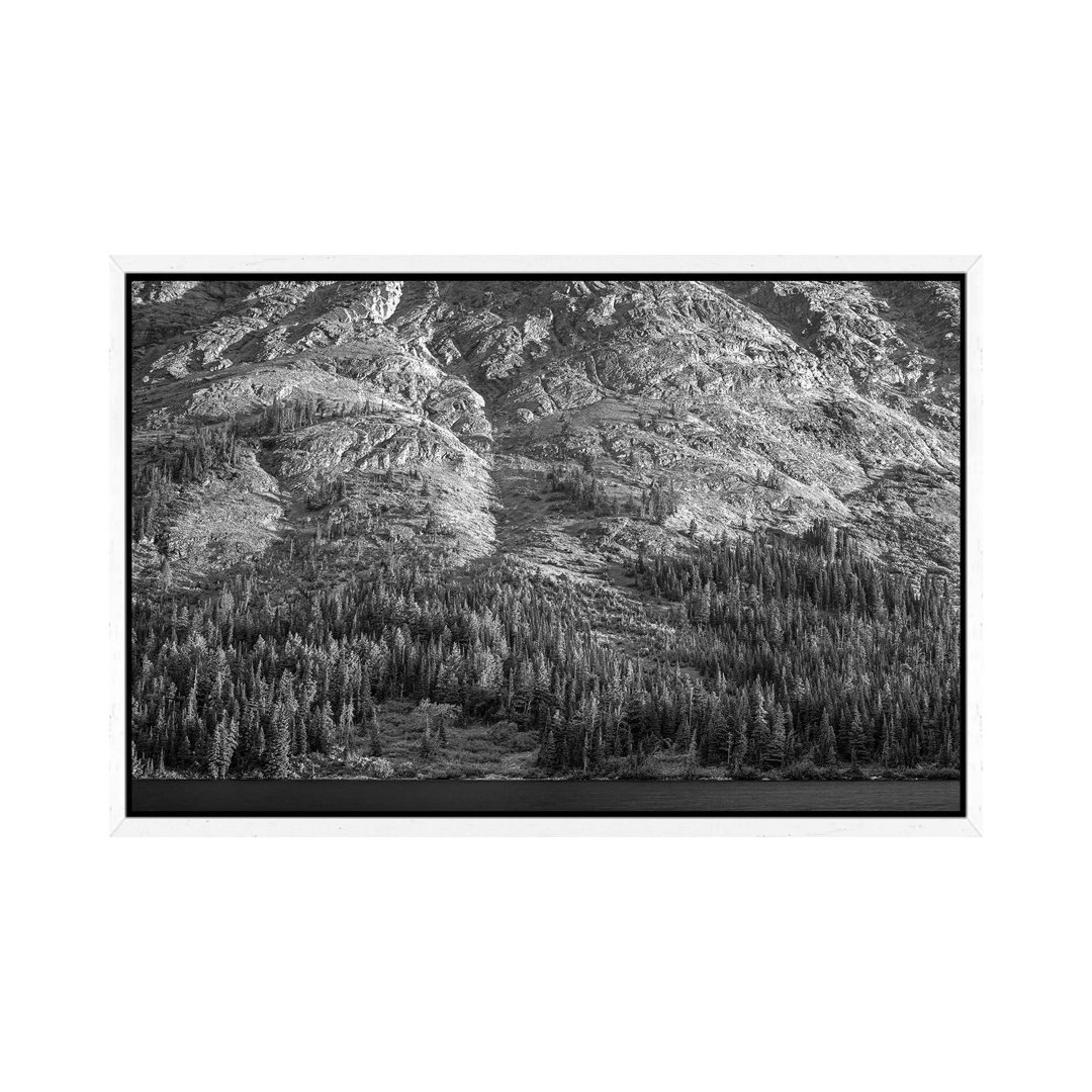 Tongass National Forest, Alaska von Tim Fitzharris - Gallery-Wrapped Canvas Giclée on Canvas