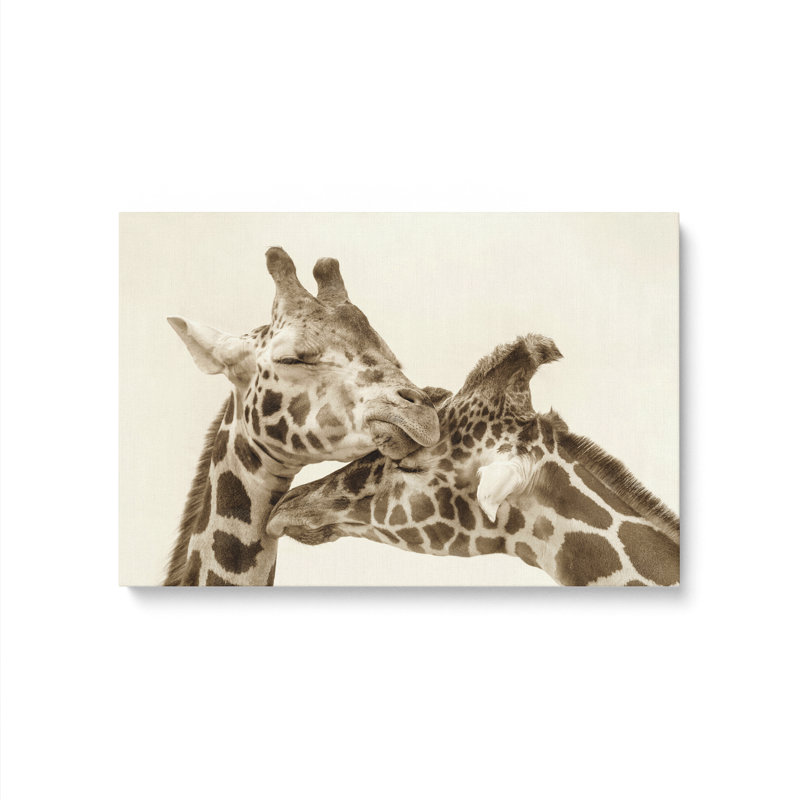 Wrapped Canvas Print, 12" H x 18" W x 1.25" D