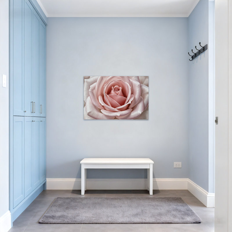 Plantes et fleurs, rose, gros plan, motif floral, H 16 po x l 24 po
