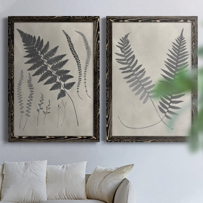 «Vintage Fern Study II», reproduction encadrée de qualité supérieure - prête à être accrochée