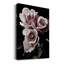 Rose noire I - photographie-1052664859-1052664858