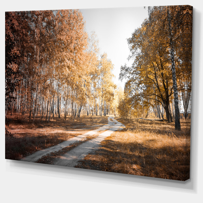 «Straight Road in Fall Birch Grove», reproduction de photo sur toile tendue, H 30 po x l 40 po