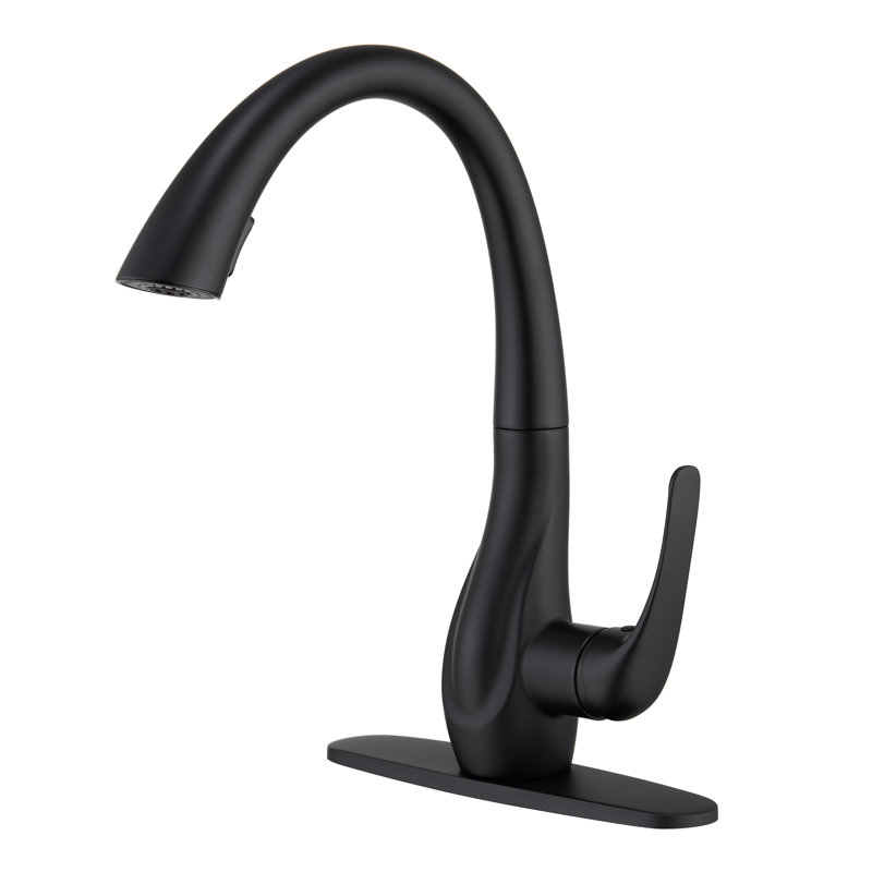 Robinet de cuisine rétractable à poignée simple avec accessoires, Noir mat