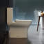 Carre One-Piece Square Toilet Dual-Flush 1.1/1.6 gpf-63681520