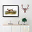 Long-Tailed Deer by J.W. Audubon - Picture Frame Painting Print-55759964-55759969