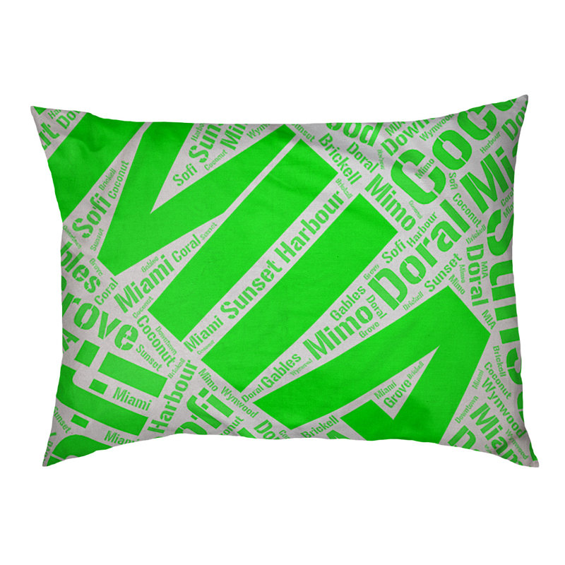 Coussin de chien « districts », Grand (l 40 po x P 30 po x H 14 po), Vert, Miami