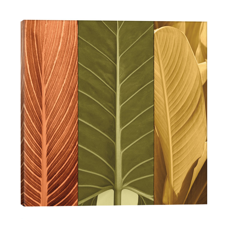John Seba - Wrapped Canvas Print, 66.04 cm H x 66.04 cm W x 3.175 cm D