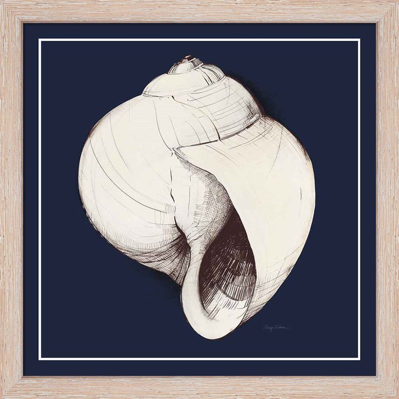 «Coastal Shell with Border Navy» par Avery Tillmon, art encadré (ensemble de 2)