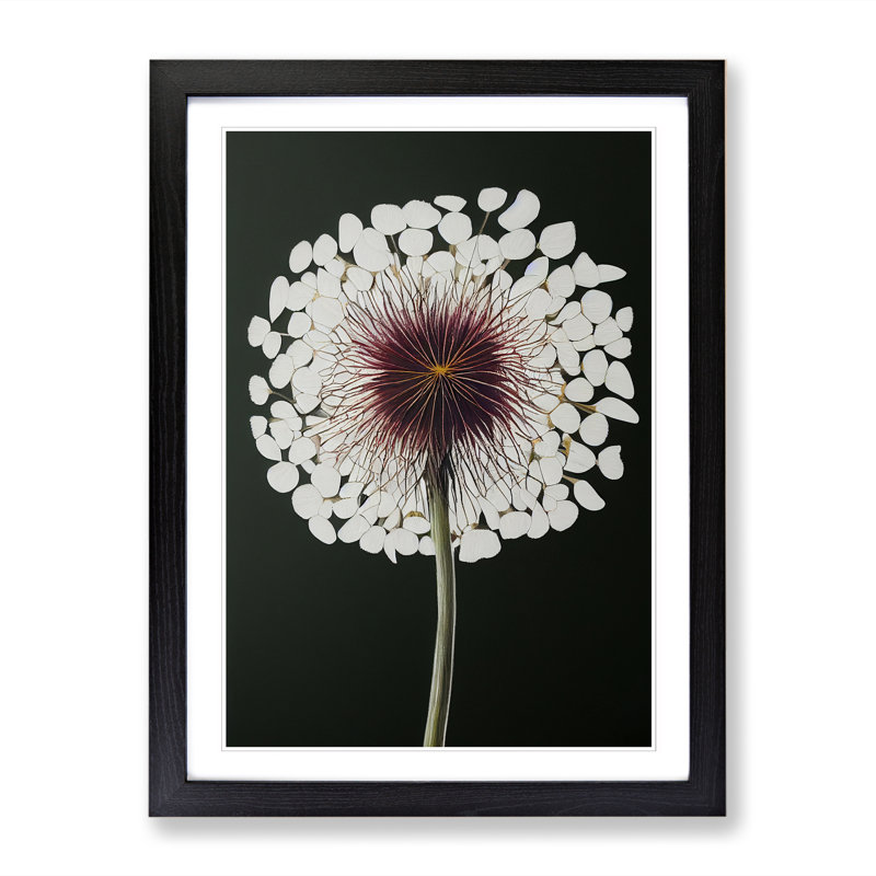 Lianni Dandelion Painting - Picture Frame Print, Black, 64cm H x 46cm W x 2cm D