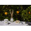 Orange Blossom Diffuser