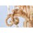 Empire Chandelier-92466337-92466343-131113221