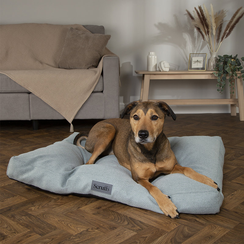 Scruffs Seattle - Luxury Dog Bed Mattress, 14cm H x 100cm W x 70cm D, Topaz Green
