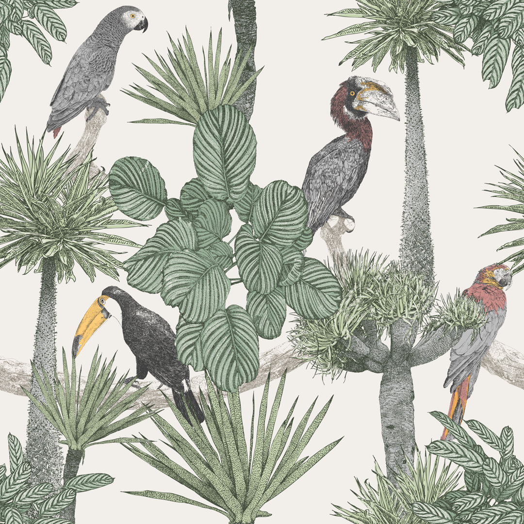 Tropical Birds