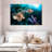 Brampt Atlantic Ocean Lionfish-108732104