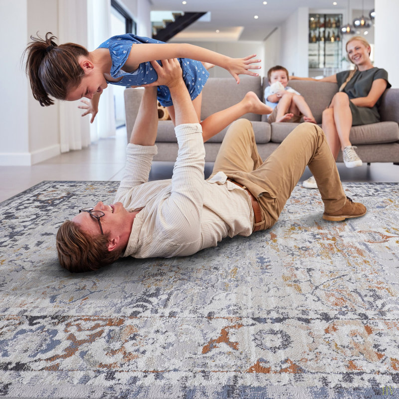 Collection 8X10 Traditional Non-Shedding Living Room Bedroom Dining Home Office Stylish And Stain Resistant Area Rug