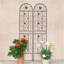 2 Pack Metal Garden Trellis 71" X 19.7" Rustproof Trellis For Climbing Plants Outdoor Flower Support Black-1004492701