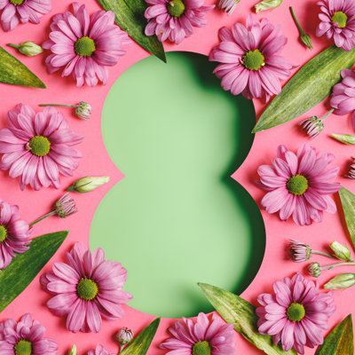 Pink Gerbera Flowers And Green Leaves On Two Tone Background - Wrapped Canvas Print