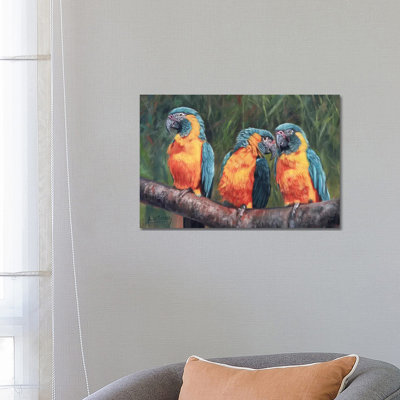 Macaws by David Stribbling - Wrapped Canvas Painting