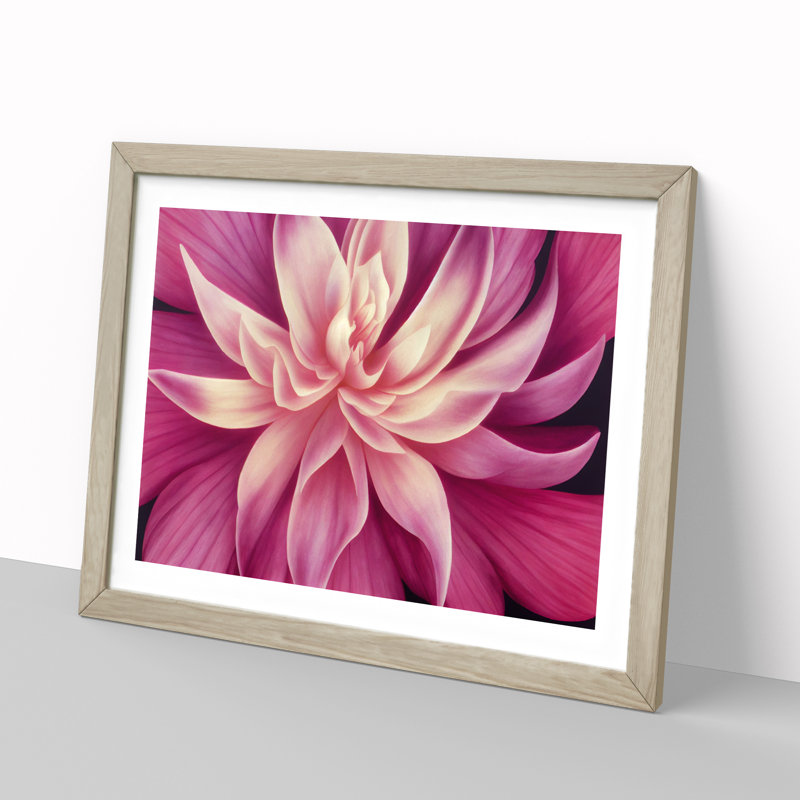 XH1022-7650X Seductive Carnation Flower - Single Picture Frame Painting, 46cm H x 64cm W x 2cm D, Oak 