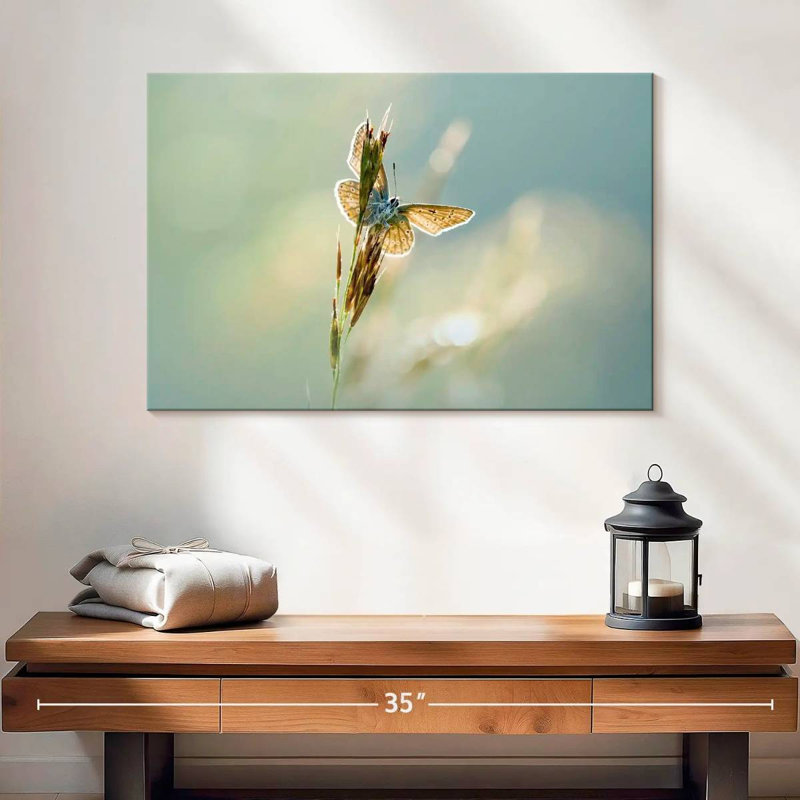Brampt Icarus Butterfly, 16" H x 24" W