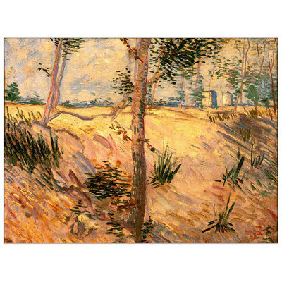 Vincent Van Gogh - Wrapped Canvas Painting