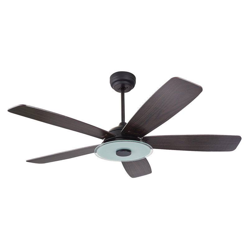 Ventilateur de plafond standard à 52 pales 52 po DEL avec télécommande et ensemble d'éclairage