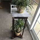 Canora Grey Nobles Plant Stand & Reviews | Wayfair
