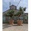 Balhi Fibreglass Planter-14486399