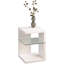 Alleman Side Table with Storage-31772997