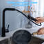 Belfry Bathroom Haaken Pull Out Kitchen Faucet-330880189