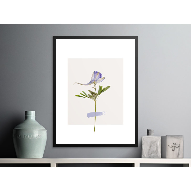 Caudilla Single Picture Frame Print, 30.48 cm H x 20.32 cm W