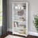 Shelonda 5 Shelf 66" Standard Bookcase