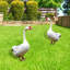 Statue acrylique en forme d'oie pour jardin