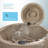 Outback® 6-Person 20-Jet Plug and Play Hot Tub Spa with Digital Control and LED Lighting-23959803-100514001