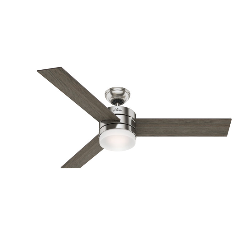 54" Exeter 3 - Blade Standard Ceiling Fan with Remote Control and Light Kit Included