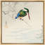 Art martin-pêcheur sur une branche, images d'oiseaux sauvages, impression sur toile encadrée-123462828-123462826