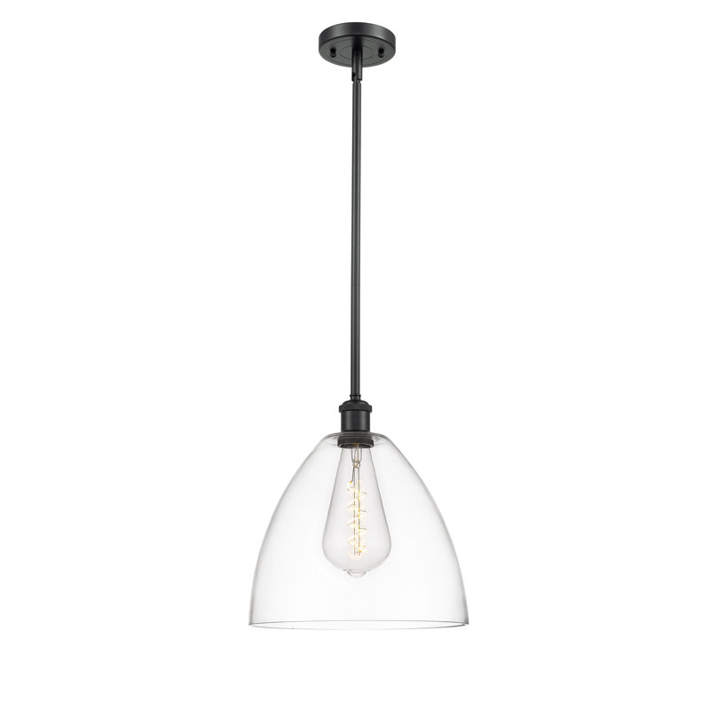 Luminaire suspendu en forme de globe à 1 lumière Alonta, H 45,75 po x l 12 po x P 12 po, Transparent, Noir mat