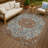 Machine Washable Indoor/Outdoor Chantille ACN2463 Traditional Rug-2027635563-2027635569