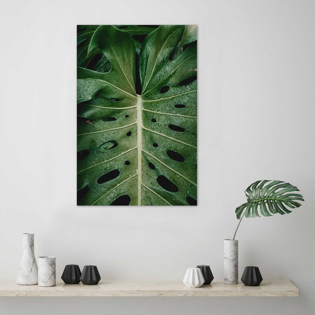 Fotodruck Blatt des ikonischen Monstera