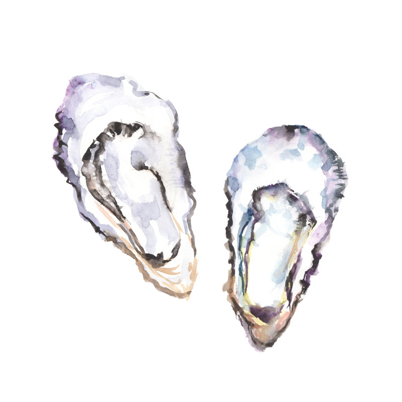 Huître Kampfer à l'aquarelle, H 12 po x l 12 po