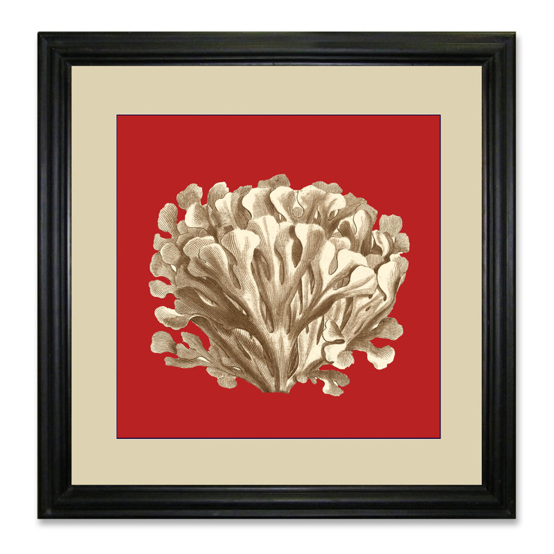 Coral On Red III - Single Picture Frame Print