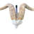 Kharlie Real Angora Ram Skull