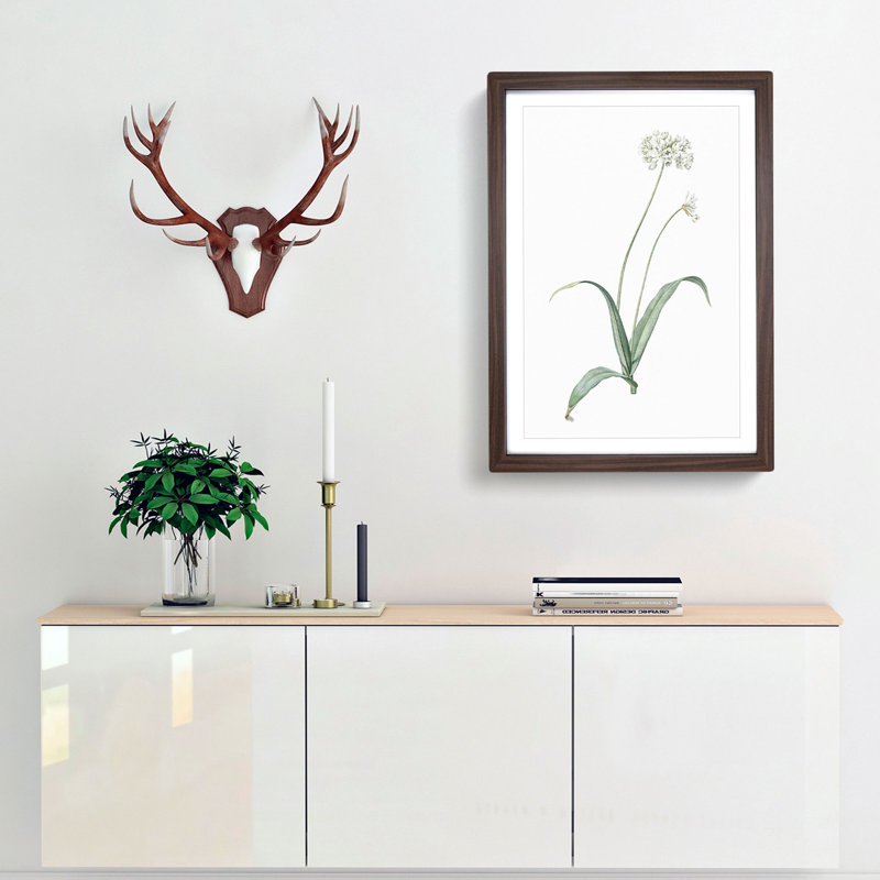 Spring Garlic Flowers by Pierre-Joseph Redoute - Picture Frame Painting Print, 48cm H x 36cm W x 2cm D, Walnut Framed