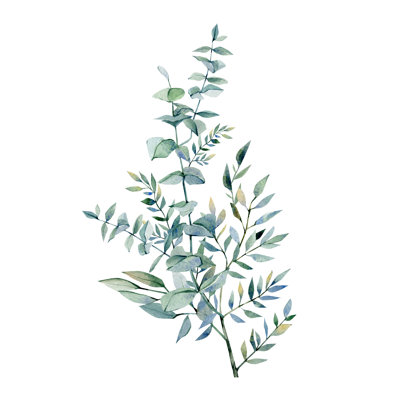 Watercolour Winter Eucalyptus Branches - Wrapped Canvas Painting