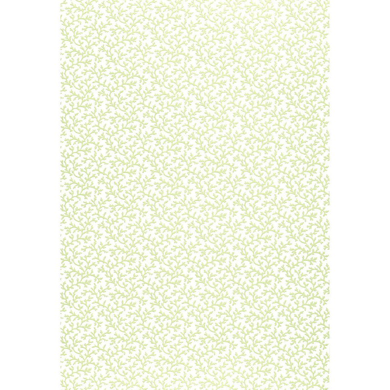 Coral Vine Wallpaper, Aloe