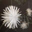 PAPER FLAKE-739921007