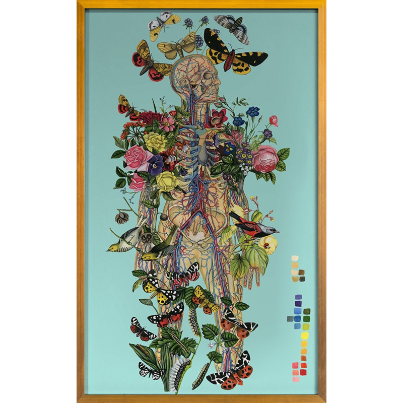 Anatomical Botanical Blue Print by Thicket Design, 38" H x 24" W