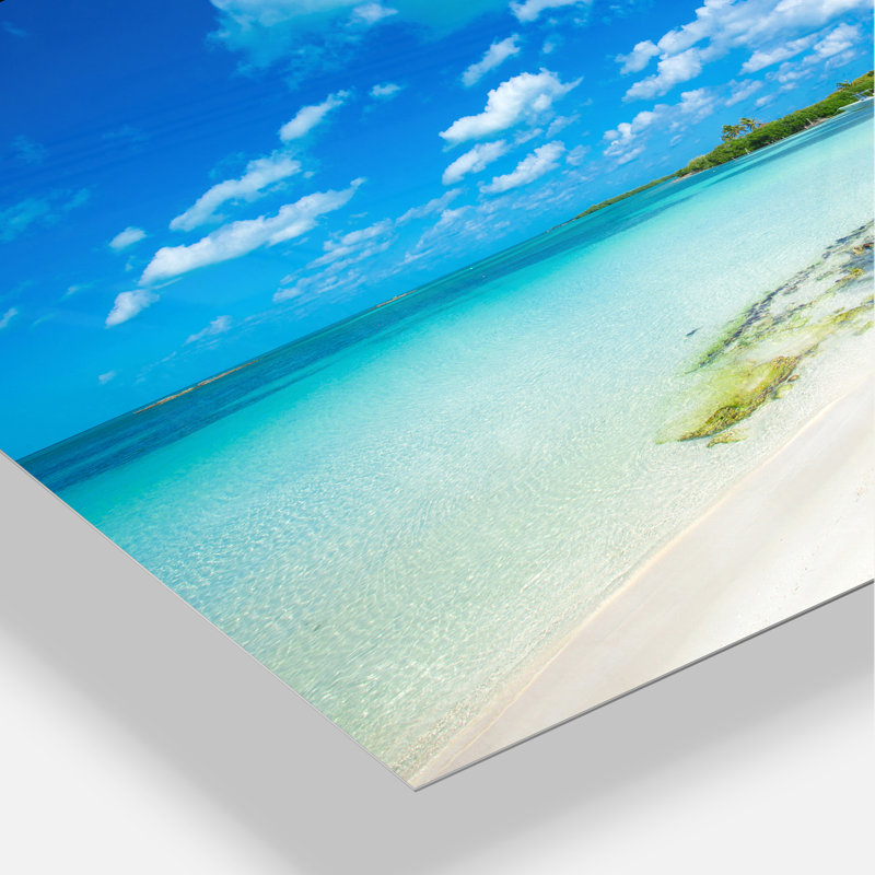 «Tropical Beach with Palm Shadows» de Mattos - reproduction de photo, Métal métal, H 34 po x l 44 po